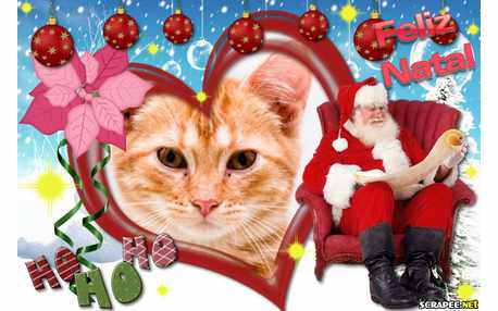 Moldura - Querido Papai Noel