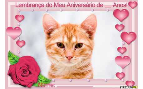 Moldura - Lembrancinha De Aniversario Para Mulher