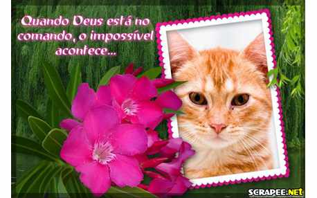 Moldura - Deus Do Impossivel