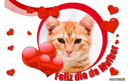 Moldura - Dia Internacional Da Mulher