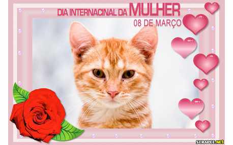 Moldura - Dia Da Mulher   8 De Marco