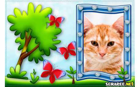 Moldura - Borboleta Vermelha