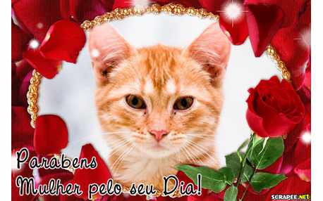 Moldura - Parabens Mulheres