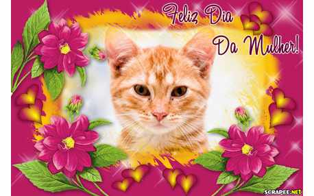 Moldura - Feliz Dia Da Mulher