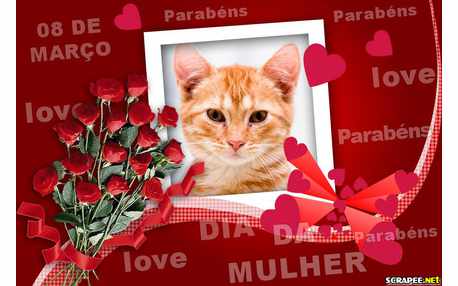 Moldura - Mulher E Seu Dia