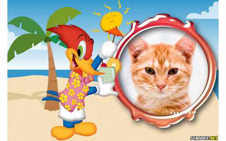 Moldura - Pica Pau Na Praia