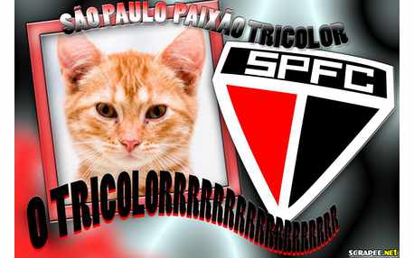 Moldura - Sao Paulo   Tricolor