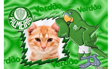 Moldura - Moldura Do Palmeiras