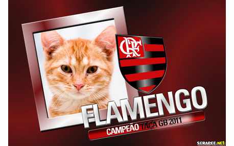 Moldura - Flamengo Campeao 2011