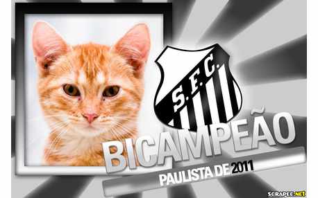 Moldura - Santos Bicampeao Paulista