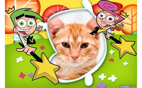 Moldura - Padrinhos Magicos