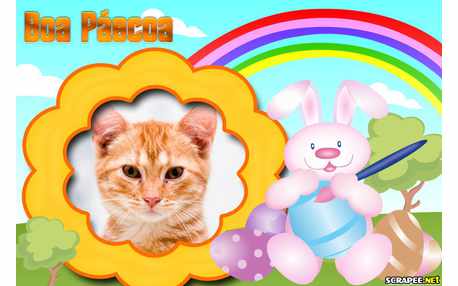 Moldura - Coelho Da Pascoa