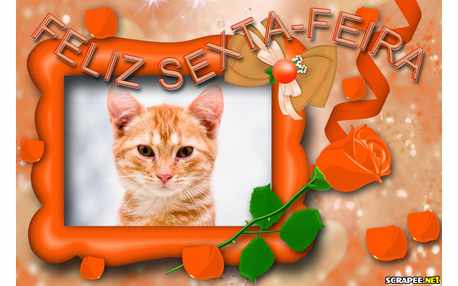 Moldura - Feliz Sexta Feira