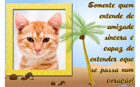 Moldura - Conhecimento Do Coracao