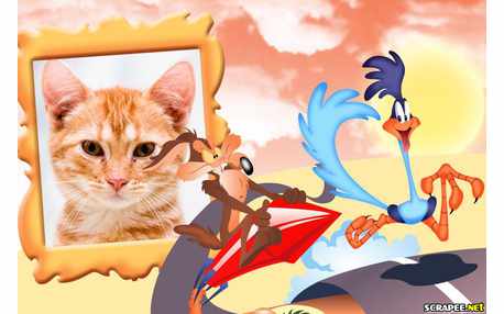 Moldura - Coyote E Papaleguas