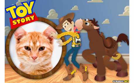 Moldura - Toy Story