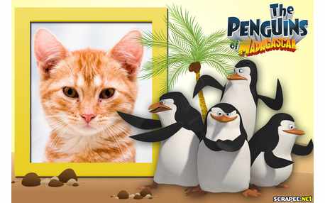 Moldura - The Penguins Of Madagascar