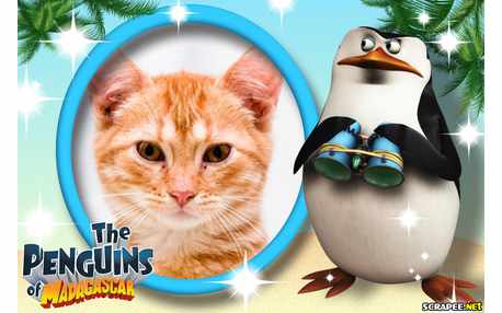 Moldura - Pinguins De Madagascar