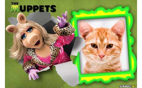 Moldura - The Muppets   Miss Piggy