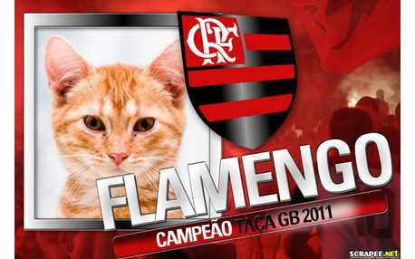 Moldura - Flamengo Campeao Taca Gb 2011