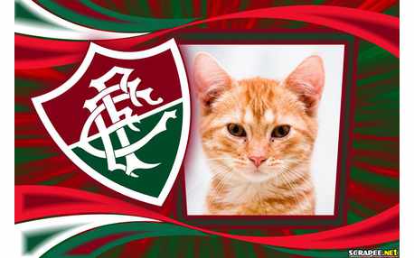 Moldura - Fluminense   Moldura