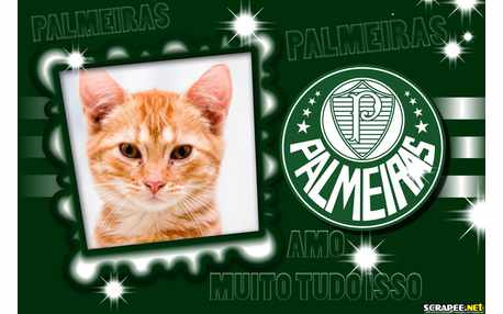Moldura - Palmeiras Moldura