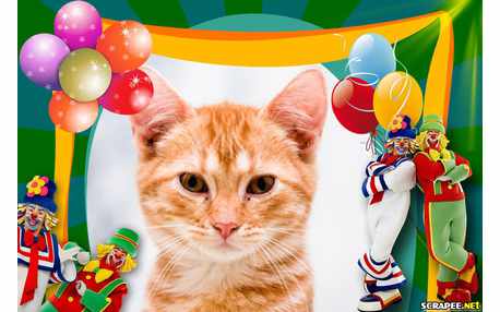 Moldura - Patati Patata