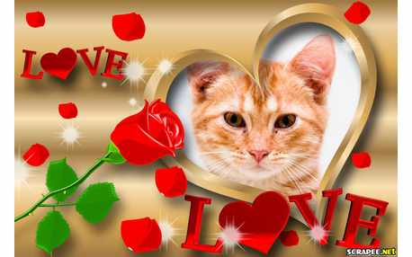 Moldura - Moldura De Amor