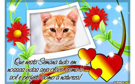 Moldura - Semana Irradiante