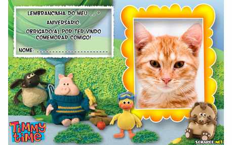 Moldura - Lembrancinha Timmy Time