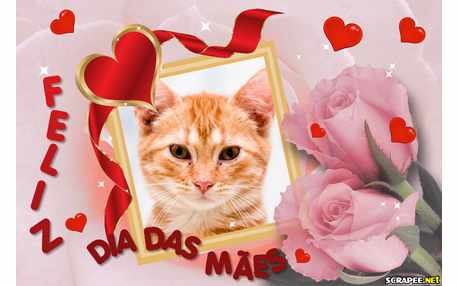 Moldura - Dia Das Maes