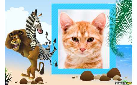 Moldura - Madagascar