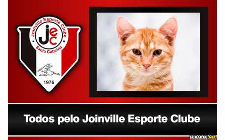 Moldura - Joinville Esporte Clube