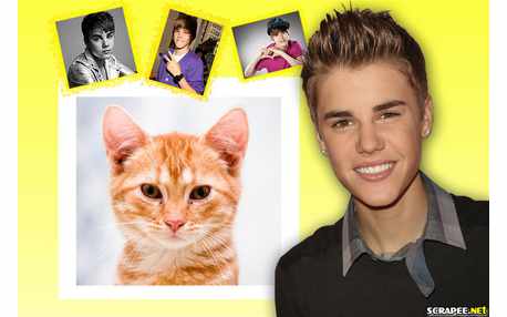 Moldura - Justin Bieber   Novo Corte Cabelo