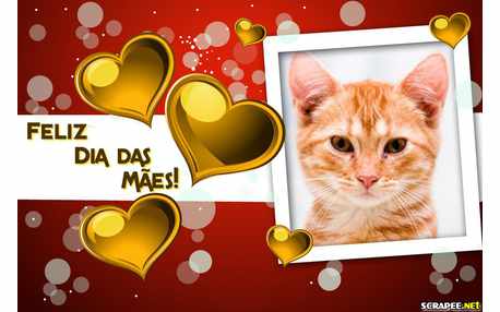Moldura - Feliz Dia Das Maes