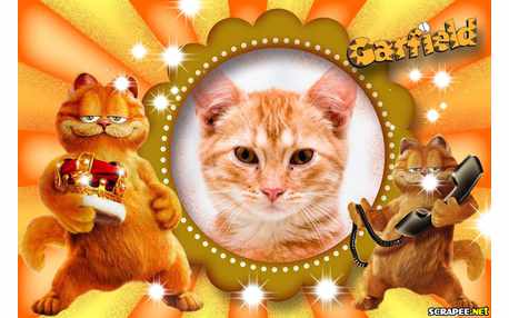 Moldura - Garfield 2