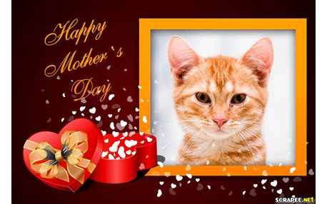 Moldura - Happy Mothers Day