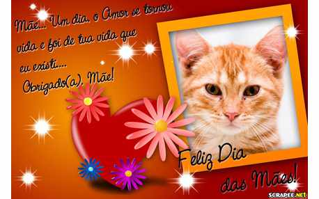 Moldura - Mae  Minha Vida