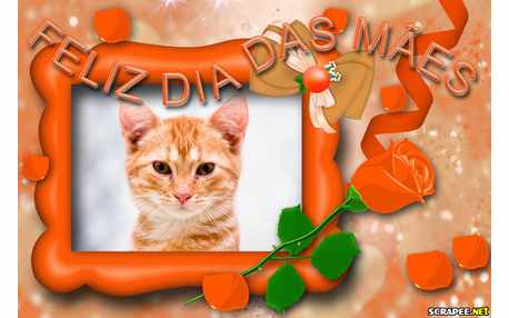 Moldura - Feliz Dia Das Maes