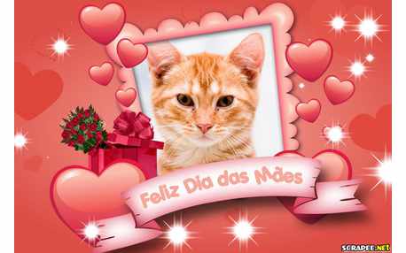 Moldura - Dia Das Maes Feliz