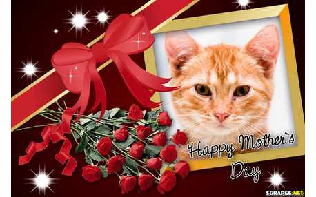 Moldura - Happy Mothers Day