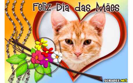 Moldura - Feliz Dia Das Maes