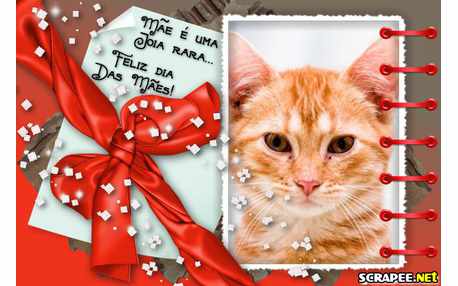 Moldura - Mae Joia Rara