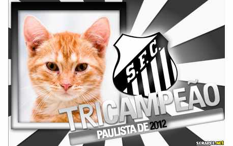 Moldura - Santos Tricampeao Paulista 2012