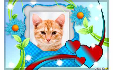 Moldura - Arte Em Flores