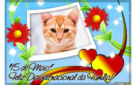 Moldura - Feliz Dia Internacional Da Familia
