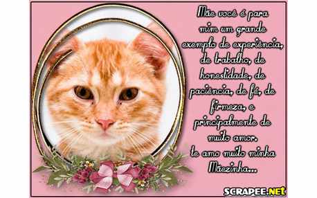 Moldura - Exemplo De Mae