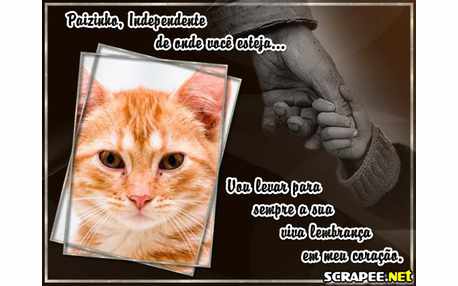 Moldura - Eterno Amor De Pai