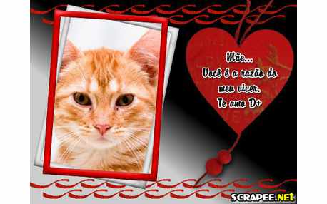 Moldura - Mensagem Para Mae