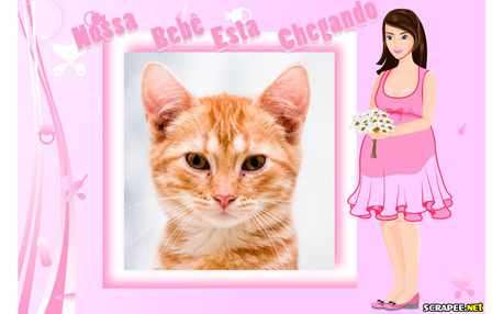 Moldura - Vou Ter Uma Menina